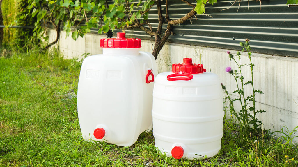 Fûts de boissons blancs devant un cep de vigne