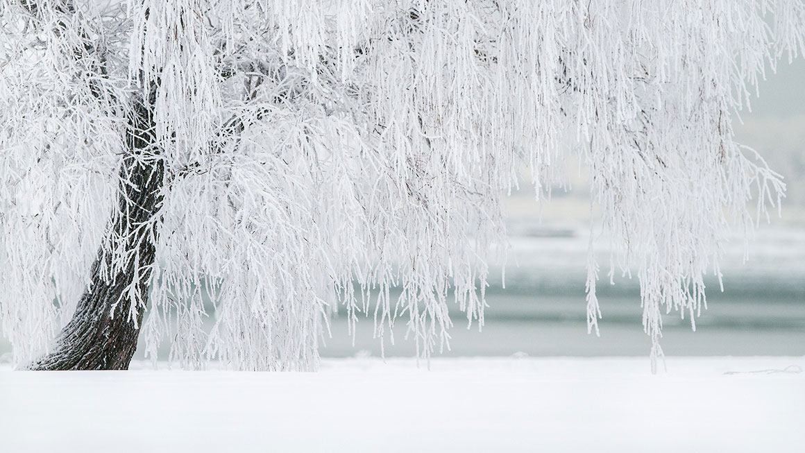 Regenwassernutzung im Winter