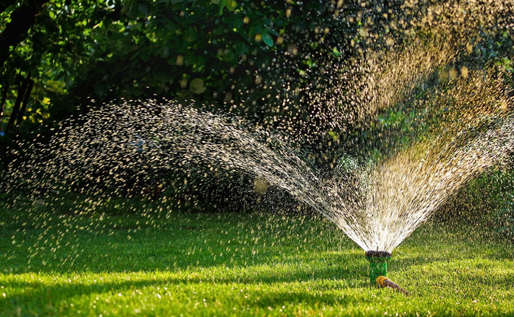 Arrosage du jardin avec l'eau de pluie  