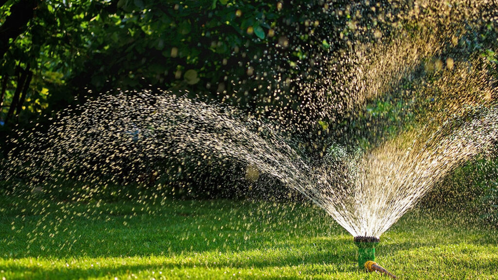 Gartenbewässerung mit Regenwasser