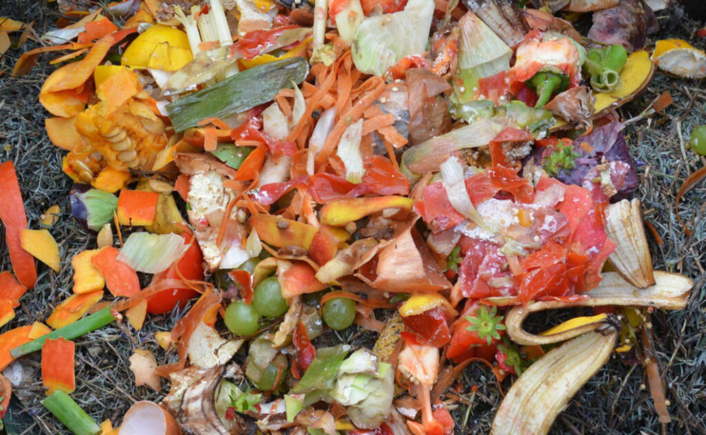 Les déchets biologiques provoquent des odeurs désagréables, des mouches et des asticots dans la poubelle à roulettes sans couvercle biofiltrant.