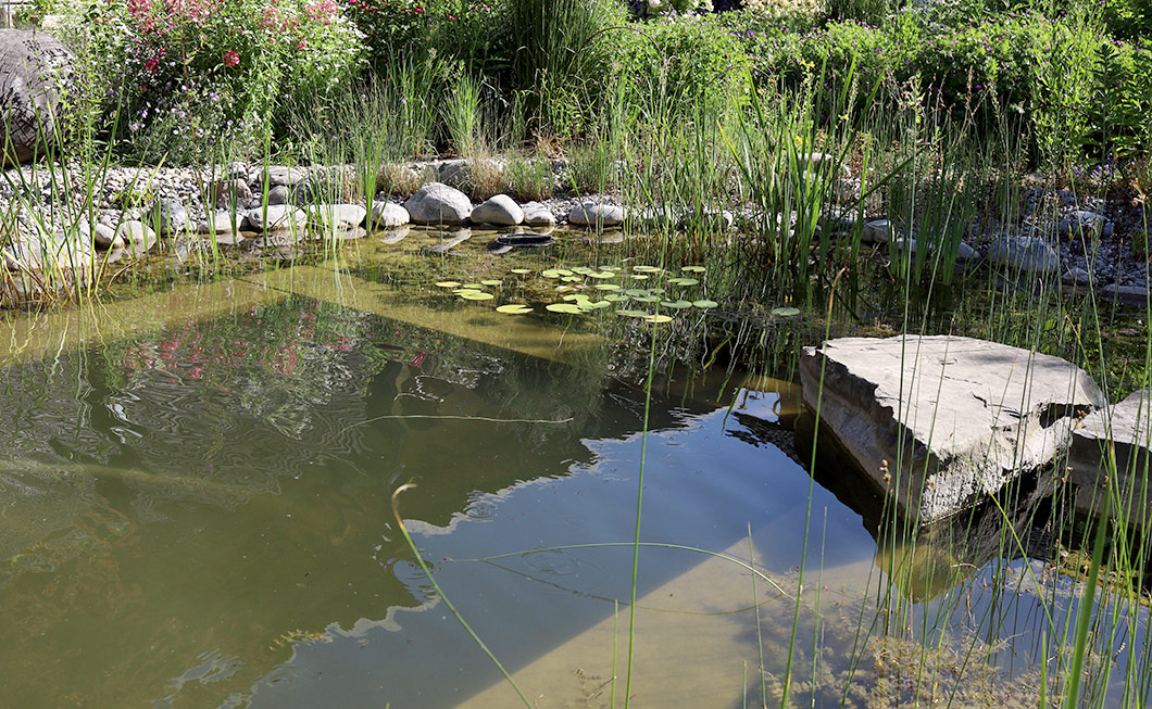 Mit BIOSTAR-Produkten zu einem sauberen und gesunden Teich