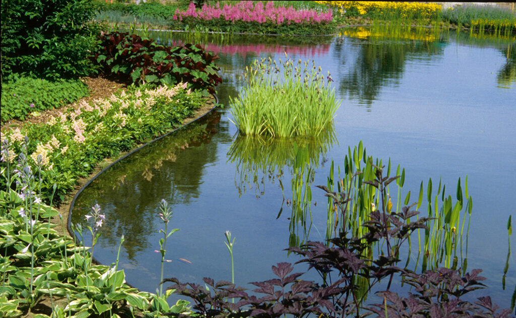 Schöner Gartenteich, der im Herbst einiges zu schneiden gibt.