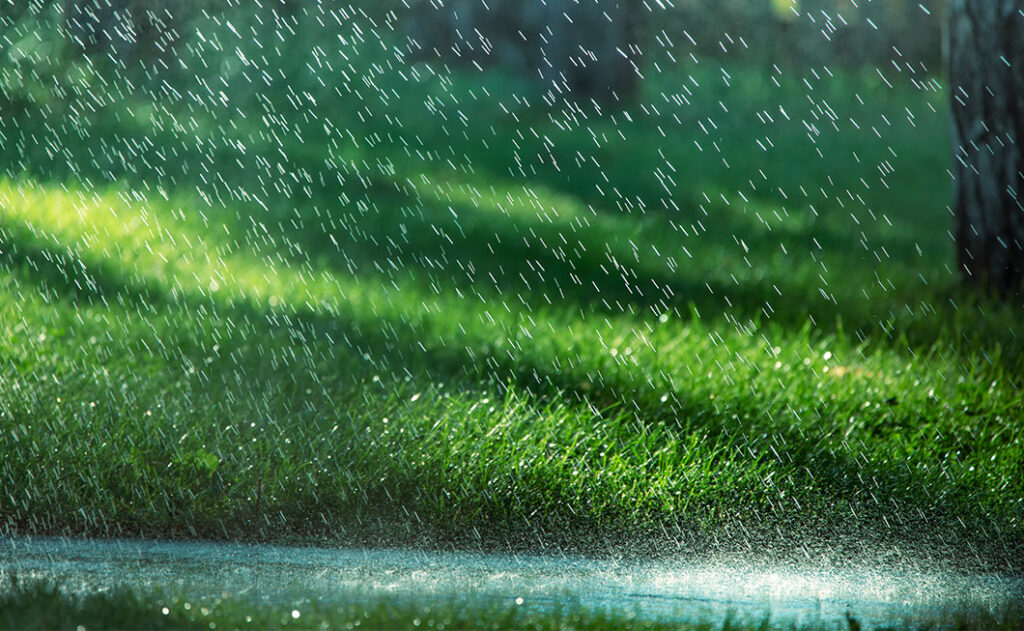 Regen und Sonnenschein vor grünem Rasen