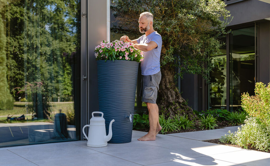 Mann pflegt die Blumen der Vase des Regenspeichers auf der Terrasse.