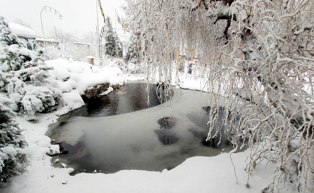 Teich reinigen im Winter. Gartenteich teils zugefroren in einem von Schnee bedeckten Garten