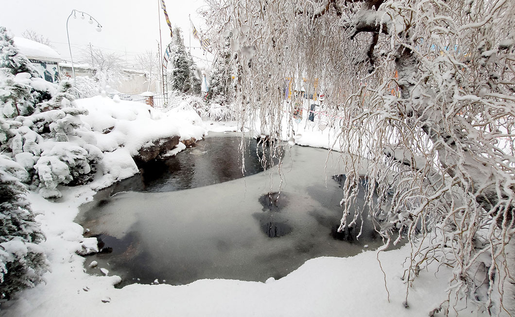 Teich reinigen im Winter. Teils zugefrorener Gartenteich in einem verschneiten Garten