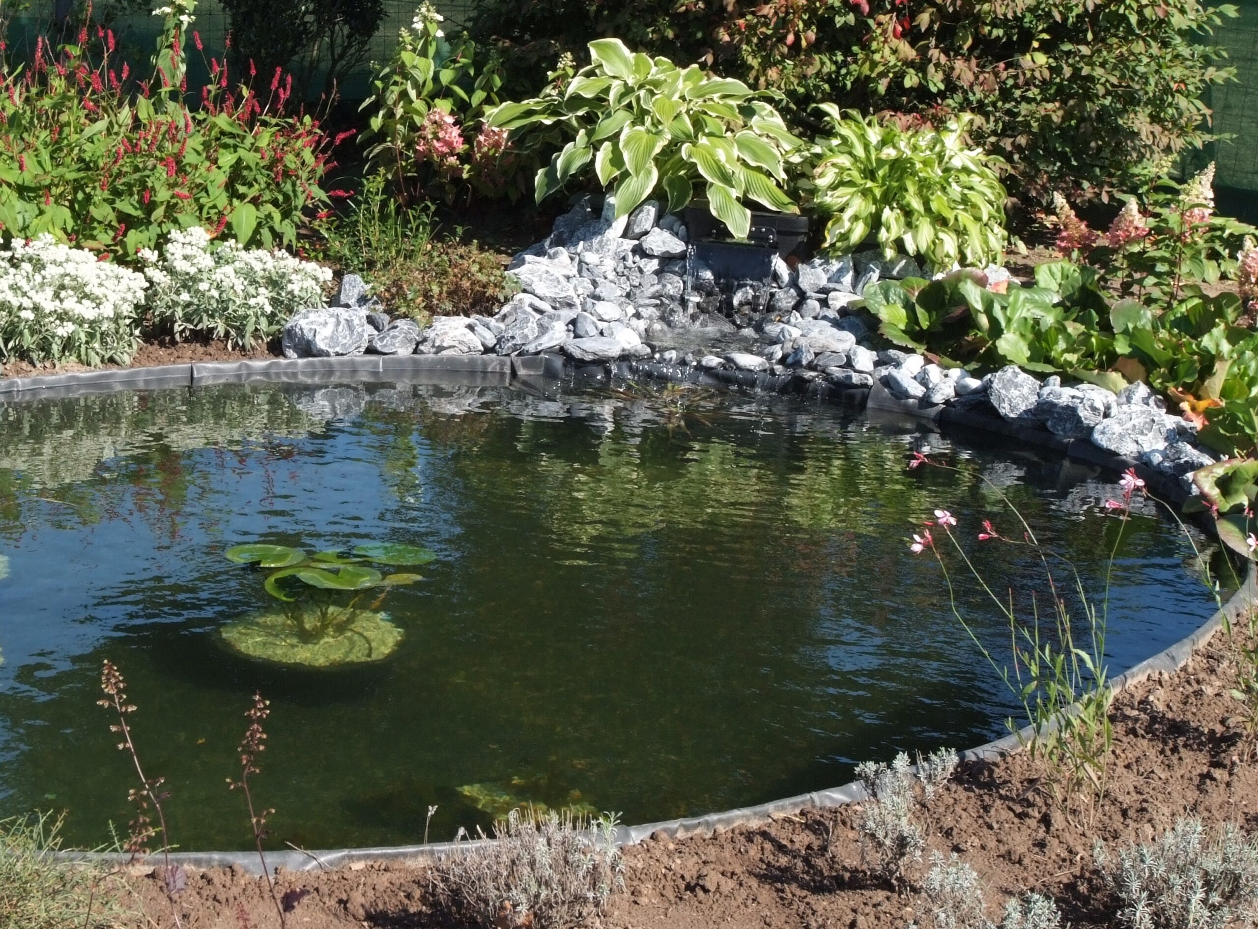 Teichpflege im Frühling: Entscheidende Schritte für einen stabilen Saisonstart