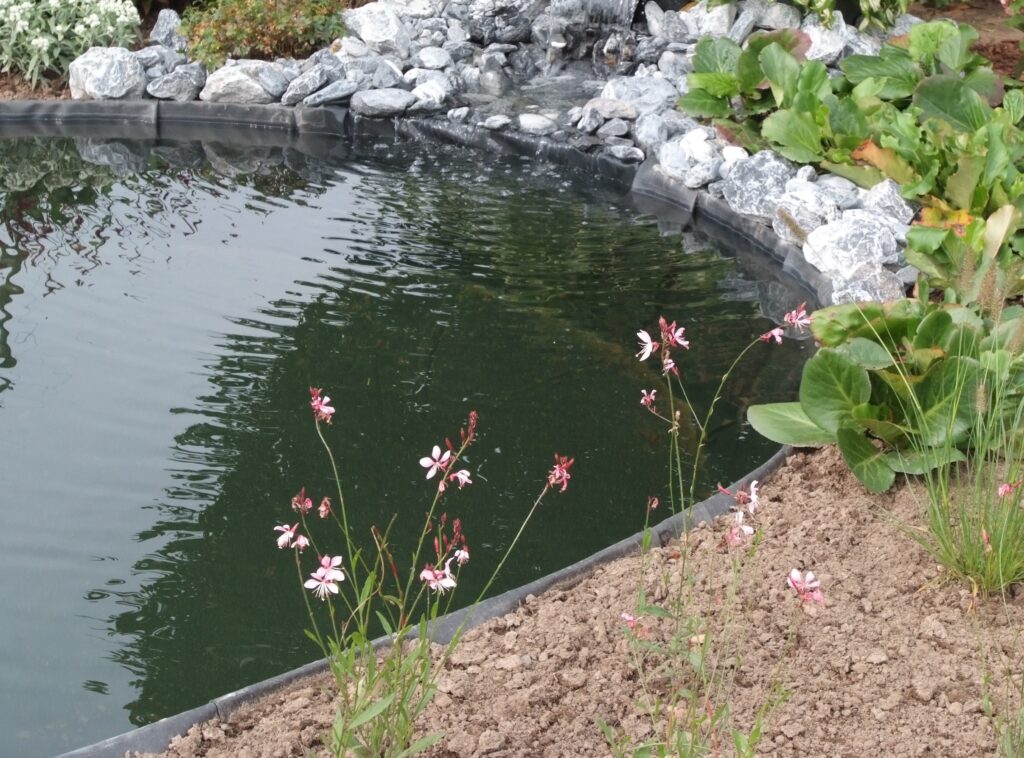 Teichreinigung im Frühling