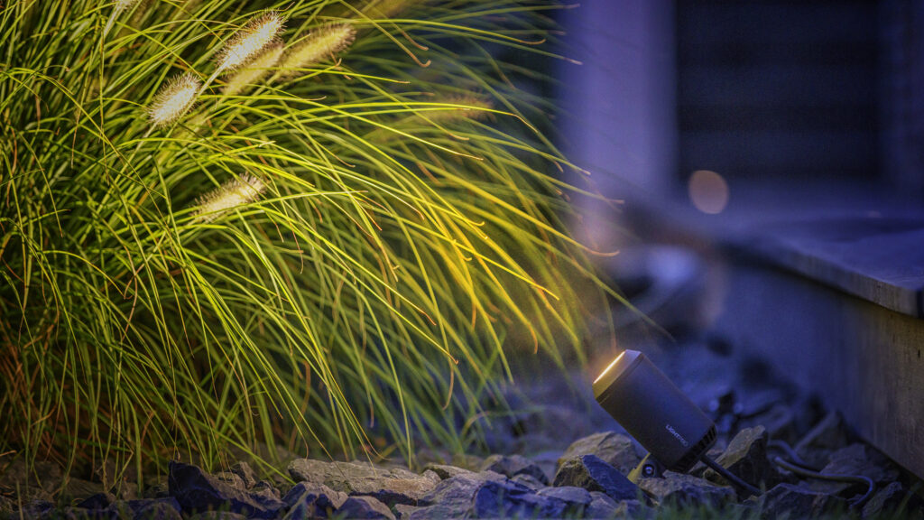 Lightpro Spot beleuchtet Ziergräser in einem Gartenbeet.